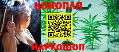 хмурый Гай