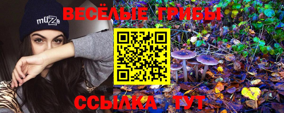 Псилоцибиновые грибы GOLDEN TEACHER  Галлюциногенные грибы GOLDEN TEACHER  Минусинск  Вход с VPN 